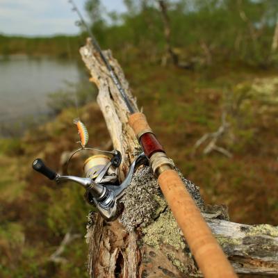 Image 21 03 20 12 33 23